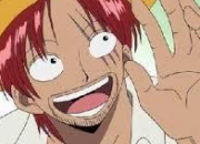 Quiz One Piece : le pass de Luffy
