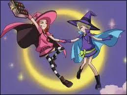 Qui russi le premier partiel ?