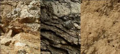 Sur quel(s) type(s) de sol peuvent pousser les cafiers ?