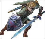 Quel ge Link a-t-il dans Twilight Princess ?