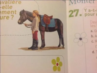 Cette cavalire conduit-elle correctement sa monture ?