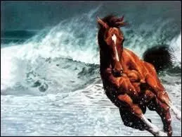 A quelle famille appartient le cheval ?