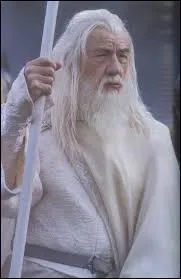 Combien y a-t-il de magiciens ?