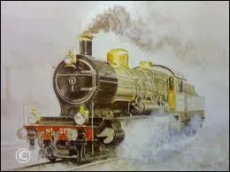 Plus difficile ! Quel athlte a t surnomm La Loco de Waco en raison de son style de course (petites foules rapides et buste droit) ?