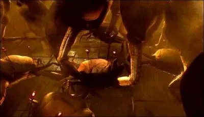 Elle ressemble  un Omar.