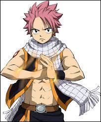 Quiz Fairy tail