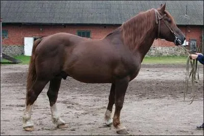 Quelle est cette robe ?