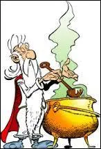 Comment s'appelle le druide du village ?