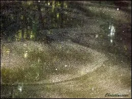 Une fille vaut bien mieux que vingt garons.