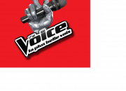 Quiz The Voice 2013/2014
