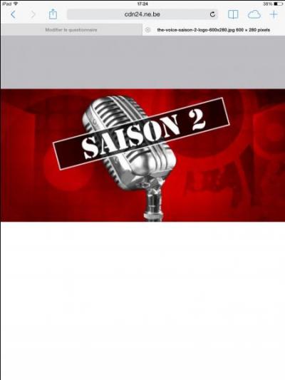 Qui sont les juges de  The Voice 2013  (saison 2) ?