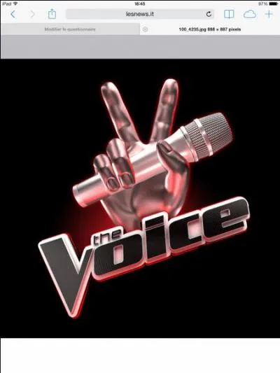 Qui sont les coachs de  The Voice 2014  (saison 3) ?