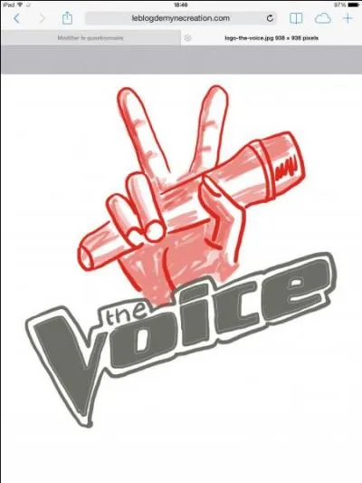 Sur quelle chane passe  The Voice  ?