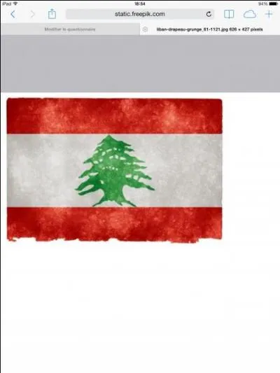 Y a-t-il un Libanais ou une Libanaise dans  The Voice 2014  (saison 3) ? Si oui, comment s'appelle-t-il/elle ?