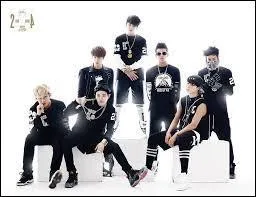 Qui en est le maknae ?