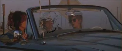 Son apparition en auto-stoppeur sexy dans  Thelma et Louise  lui permet d'attirer l'attention du public. C'est :