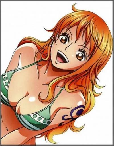 Comment s'appelle le bton que possde Nami ?