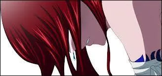 Qui peut changer d'armure et d'arme  volont ?