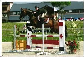 Comment s'appelle cette discipline ?