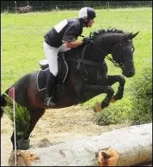 Que signifie  CCE  ?