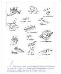 Quel est l'ordre des brosses pour le pansage ?