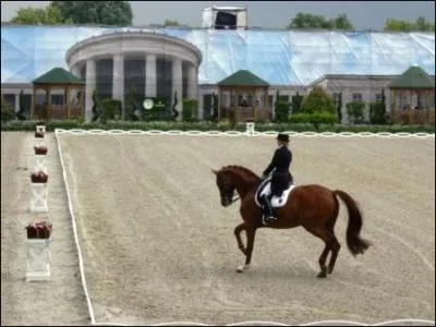 Comment s'appelle cette discipline ?