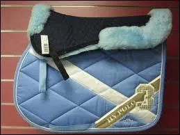 Comment appelle-t-on ce qui protge le dos des poneys ?