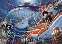 Au-dessus de quelle ville l'le des Hommes-Poissons est-elle situe ?