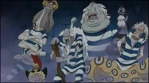 Pourquoi les principaux membres de l'quipage des Hommes-Poissons sont-ils devenus vieux ?