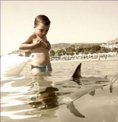 Grce  la photo, trouvez le nom manquant : France ...