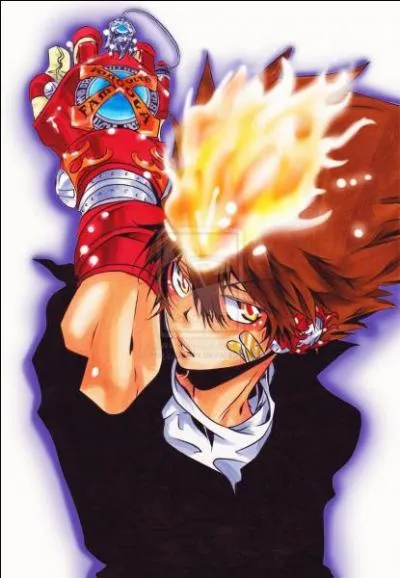  quel anime/manga appartient-il ?