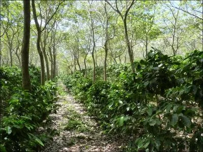 Panama et l'Equateur ont-ils une frontire commune ?