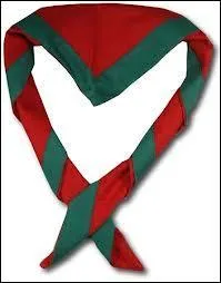 Quel prnom parmi ceux proposs est celui d'un scout serviable mais pas trs fut qui vient quelques-fois rendre visite  Huguette et Raymond ?