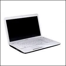 Cet ordinateur portable est beaucoup utilis (pour s'amuser ou se dtendre) par ...