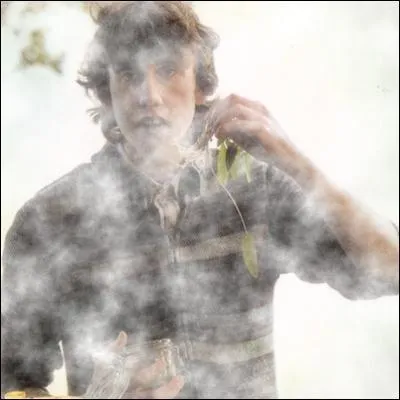 Quelle est l'explication la plus rationnelle que l'on peut donner en observant ce clich ?