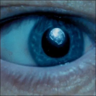 Avec son tlescope, le professeur Sinistra peut voir les choses de trs prs... De quel il s'agit-il ?