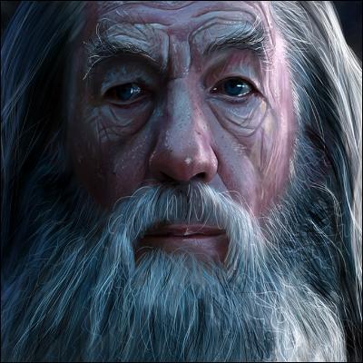 Dans la série des ressemblances évidentes, à qui peut-on comparer Gandalf le Gris ?