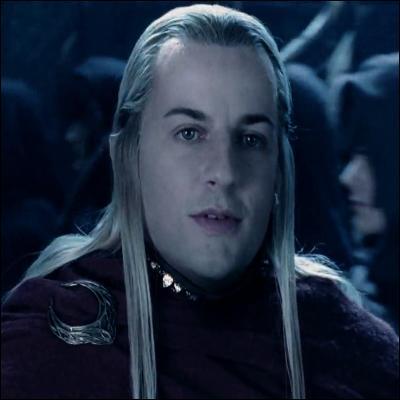 L'elfe Haldir ressemble beaucoup à un personnage de l'univers d'Harry Potter. Lequel ?