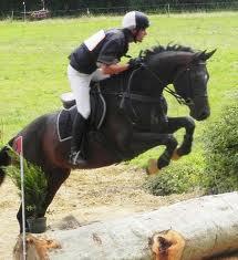 Quiz Galop 2