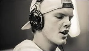 Avicii a galement fait un trs gros carton cet t avec : 