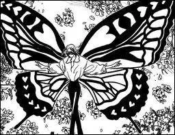 Cochez les rponses correctes