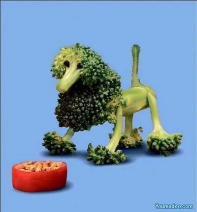 Qui a dit : L'amour c'est l'infini mis  la porte des caniches ?