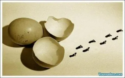 Une chanson de Jean-Jacques Goldman !