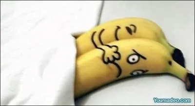 On vient de procder  la premire greffe d'un foie de babouin sur un homme. L'opration semble avoir russi, car  son rveil le patient a demand des bananes !