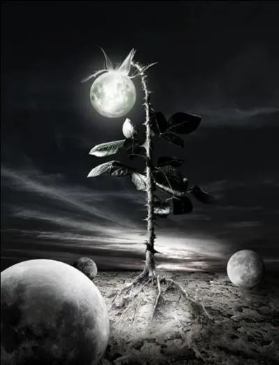 Qui a crit  La nuit des temps  ?