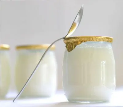 Que faut-il ajouter au lait pour faire du yaourt ?