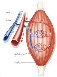 Que se passe-t-il  son niveau ?