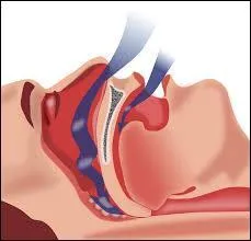 Qu'est-ce qu'un mouvement respiratoire ?