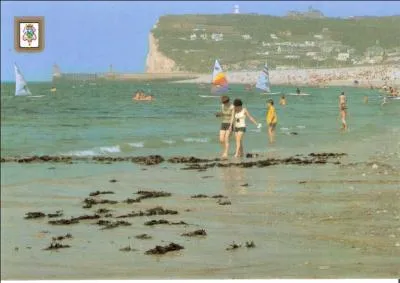 Qu'est-ce qu'une salicoque ?