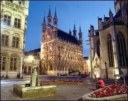 Nous nous promenons dans les rues de la ville de Louvain. Nous nous situons ...